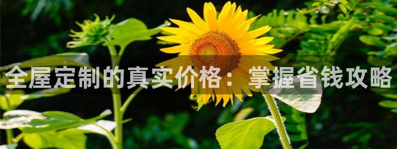 BB电子哪个平台好出款