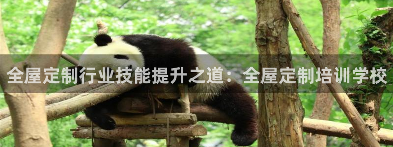 BB电子什么时候容易爆大奖