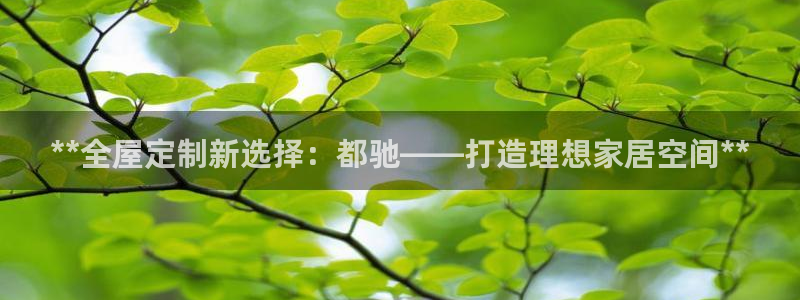 BB电子锁怎么接电