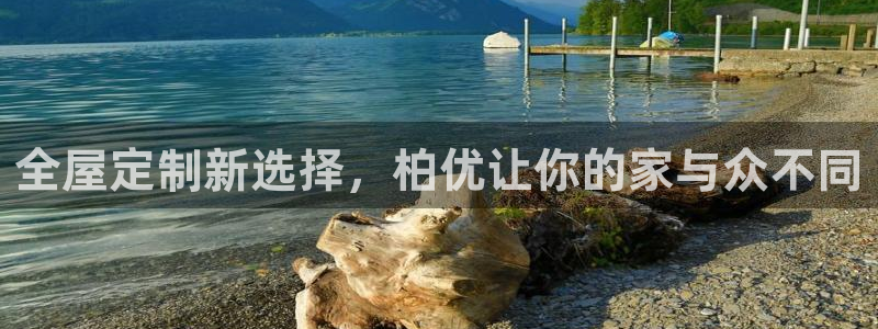 bb电子哪个平台好啊