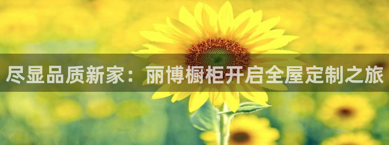 BB电子连环夺宝