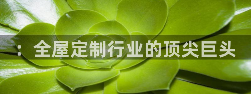 bb电子哪个平台好用