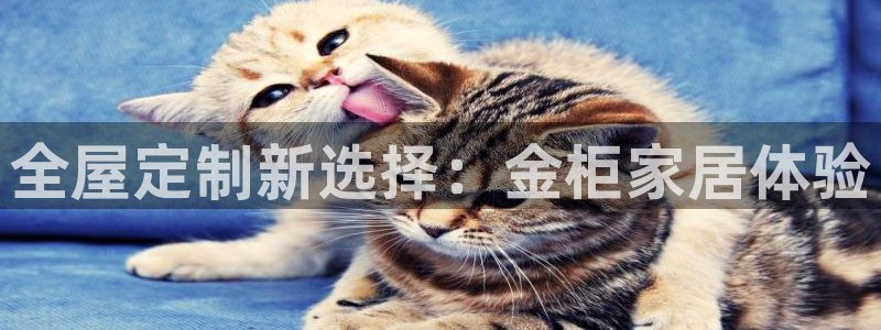bb电子哪个游戏好赢钱一点