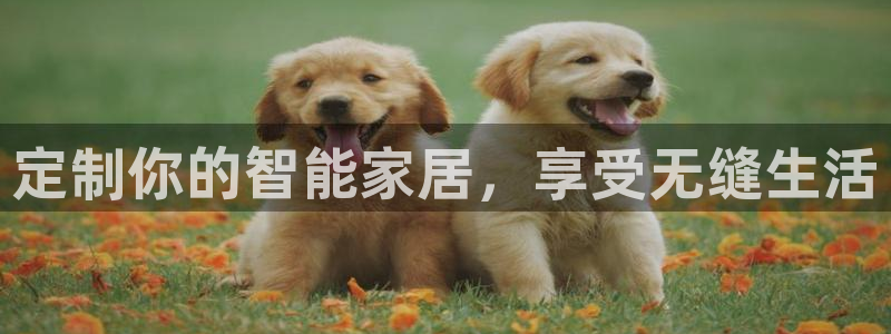 bb电子怎么赢