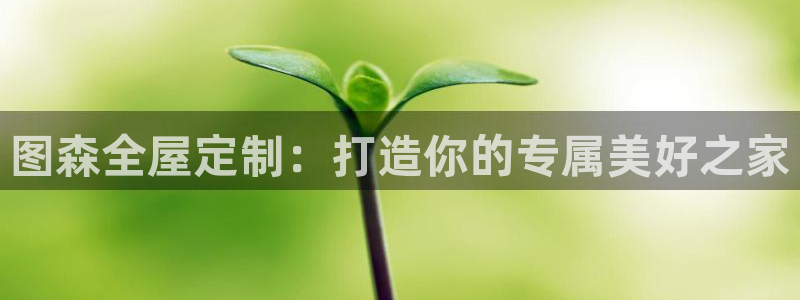 bb电子教育平台