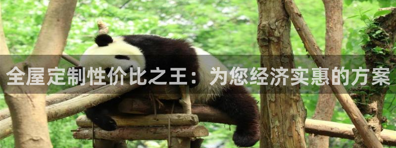 bB电子琴和弦