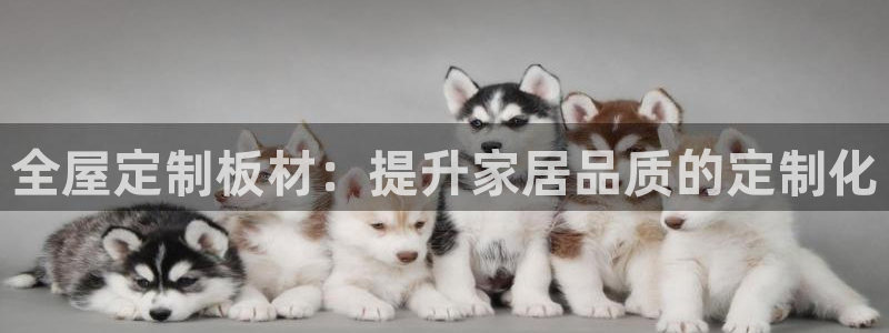 bb电子mini彩金