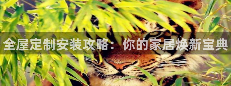 bb电子游戏娱乐平台
