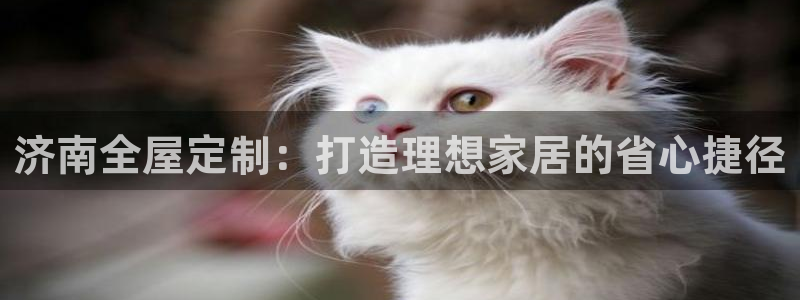 BB电子烟官网