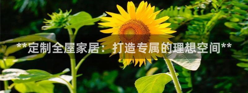 bb电子哪个游戏好赢钱