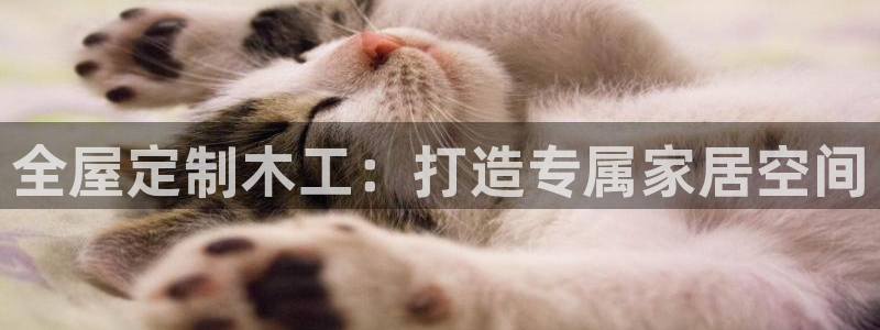 网上bb电子为什么那么假
