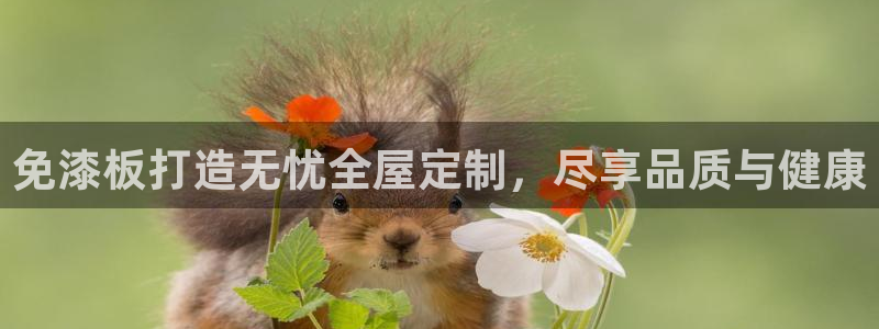 bb电子中了Major怎么算