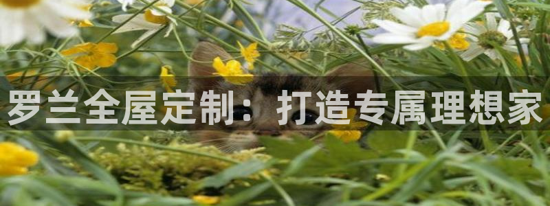 bb电子怎么赢