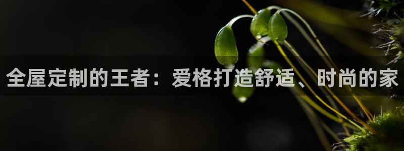 bb电子哪个平台好些