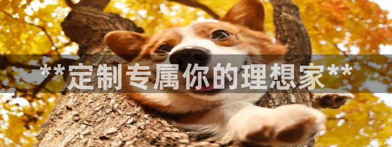 xbb电子游艺