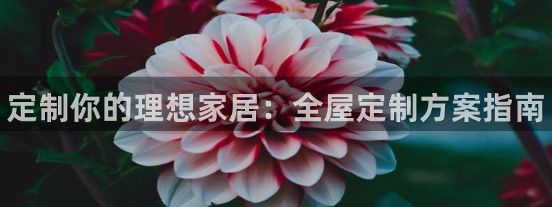 bb电子为什么总赢不了