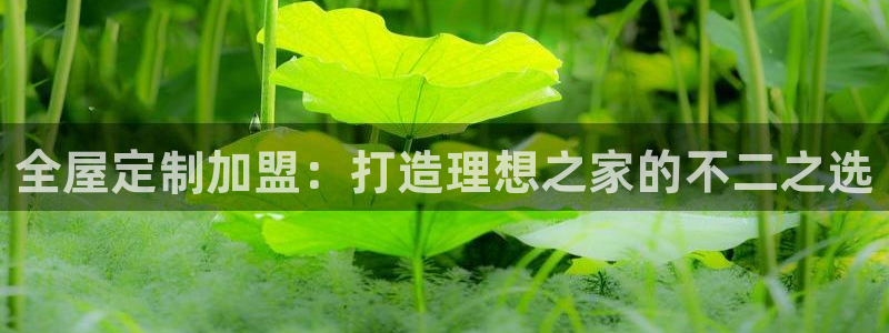 bb电子哪个平台好些