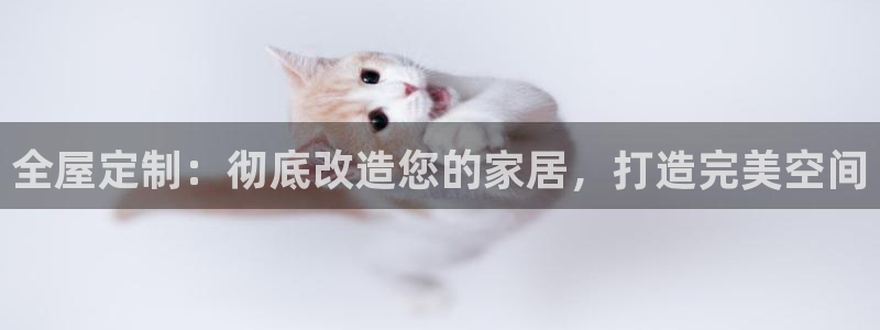 bb电子哪个平台好用一点