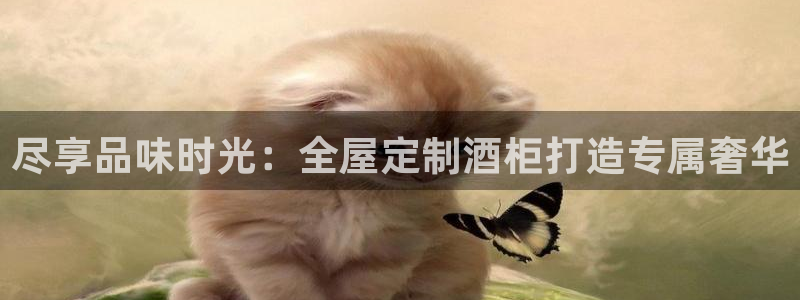 bB电子琴和弦