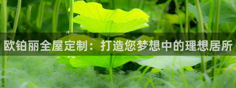 bb电子哪个平台好啊