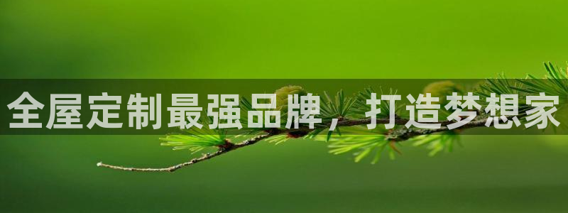 bb电子哪个平台好用点
