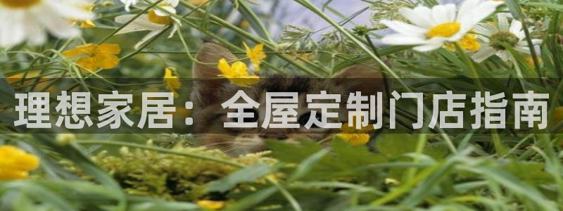 bb电子糖果彩球
