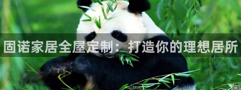 BB电子麻将胡了