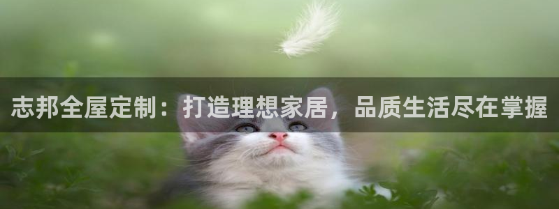 bb电子哪个平台好啊