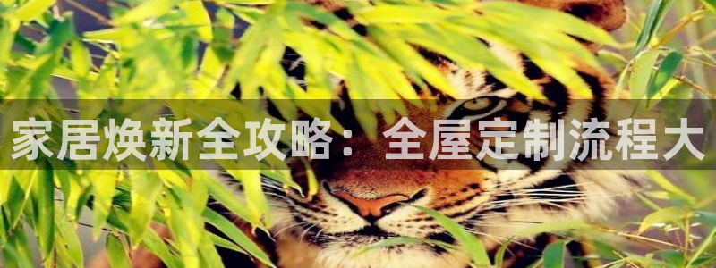 bb电子怎么赢