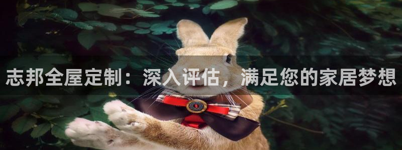 bb电子哪个平台好用