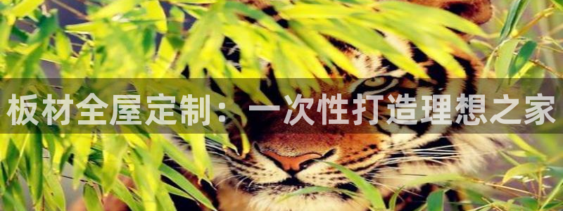 bb电子哪个游戏好赢钱啊