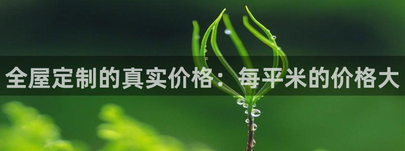 BB电子哪个平台好出款