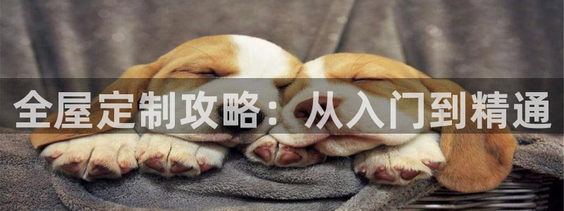 bb电子哪个游戏好赢钱一点