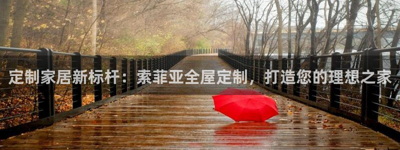 bb电子哪个平台好啊