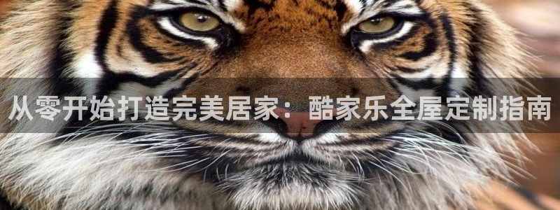 bb电子哪个平台好些