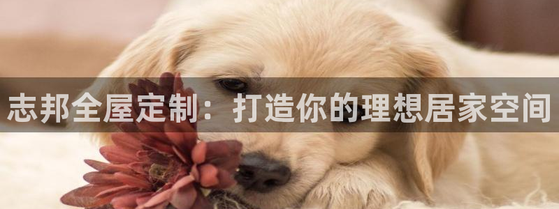 bb电子哪个游戏好赢钱