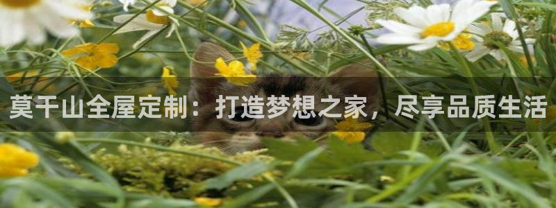 bb电子怎么赢