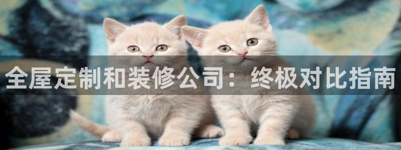 Bb电子琴和弦是哪个