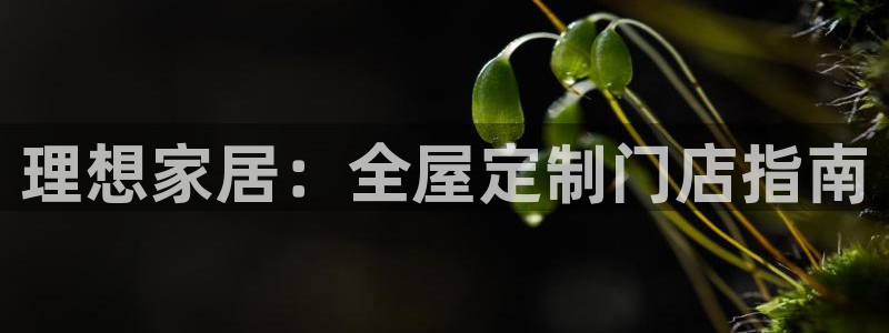 xbb电子游艺