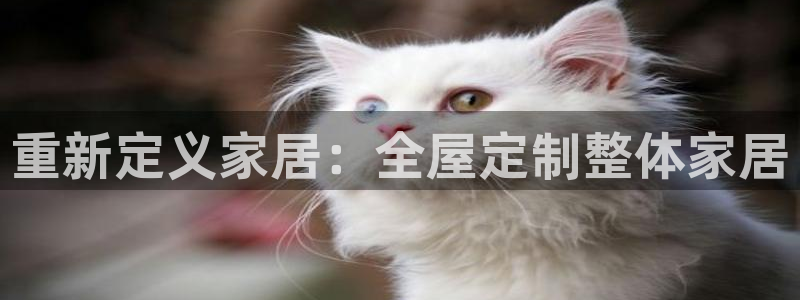 bb电子教育平台