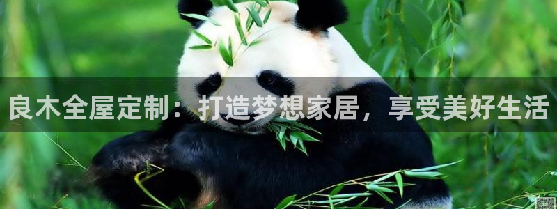 bb电子糖果彩球