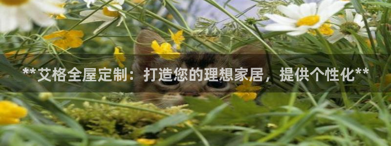 BB电子开户