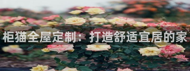 BB电子烟官网
