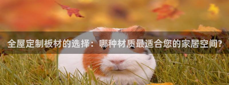 BB电子开户