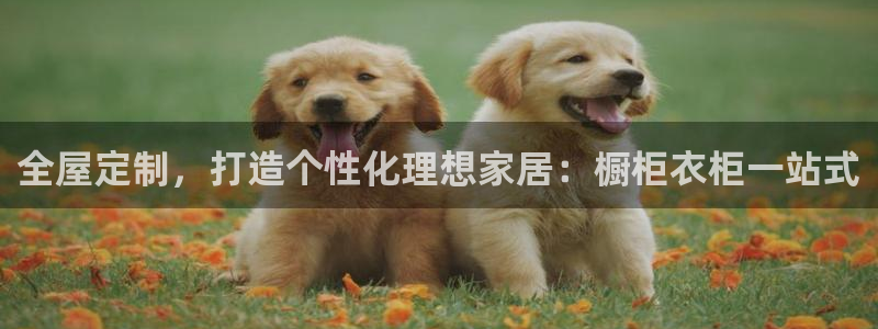 BB电子锁怎么接电