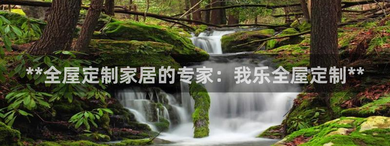 网上bb电子为什么那么假