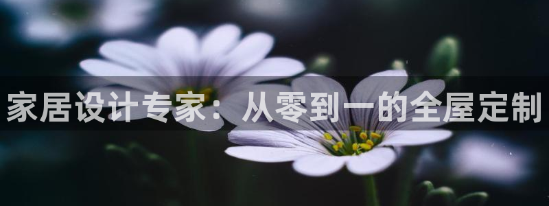 bB电子琴和弦