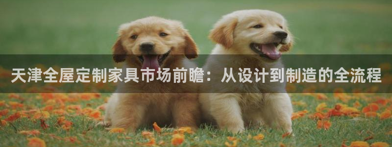 网上bb电子为什么那么假的