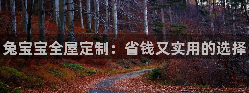 bb电子哪个平台好点