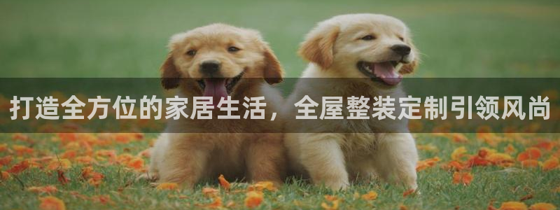 bb电子哪个平台好用